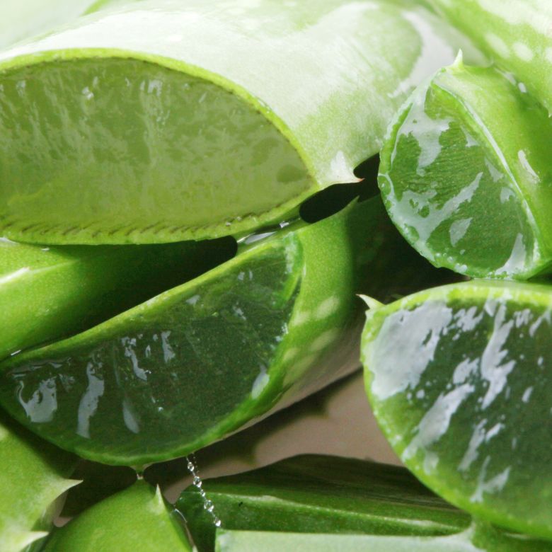 Gel Frio Polar Frost com Aloé Vera - 500 ml