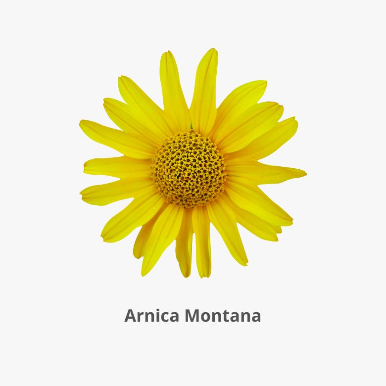 Gel-Creme Traumadol Arnica - 100ml 